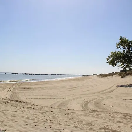 Jardin Et Foret Ocean Au Verdon * Le Verdon-sur-Mer